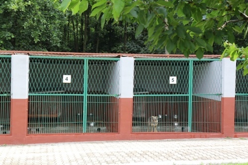 Odnowione boksy w schronisku dla zwierząt